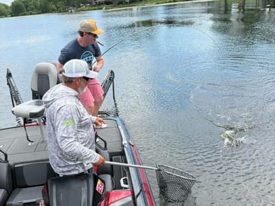 Fishing-scaled-1